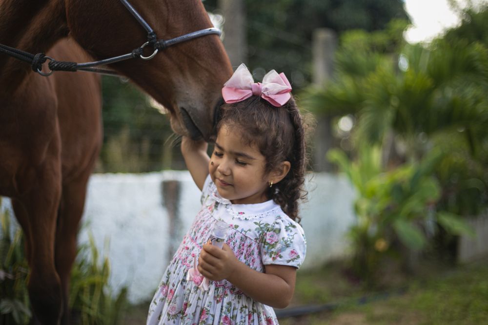 Menina fazendo carinho em um cavalo