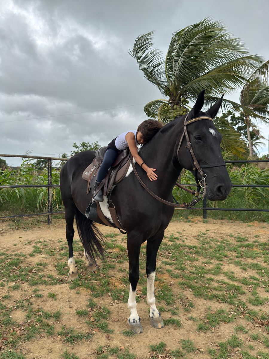 Lua Negra do Maraçauim montada no picadeiro