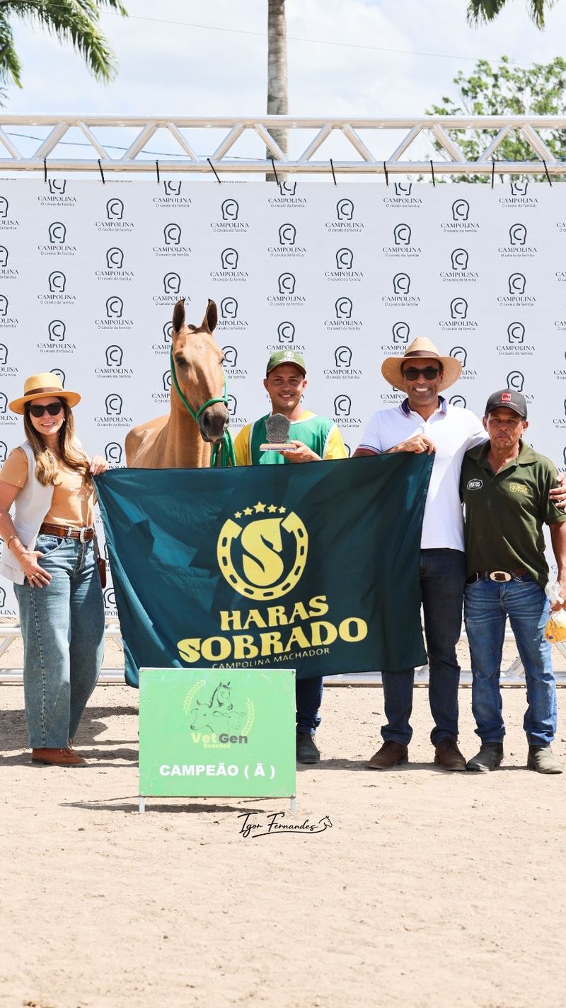 Odisséia de Vitória com a equipe e a placa de campeã