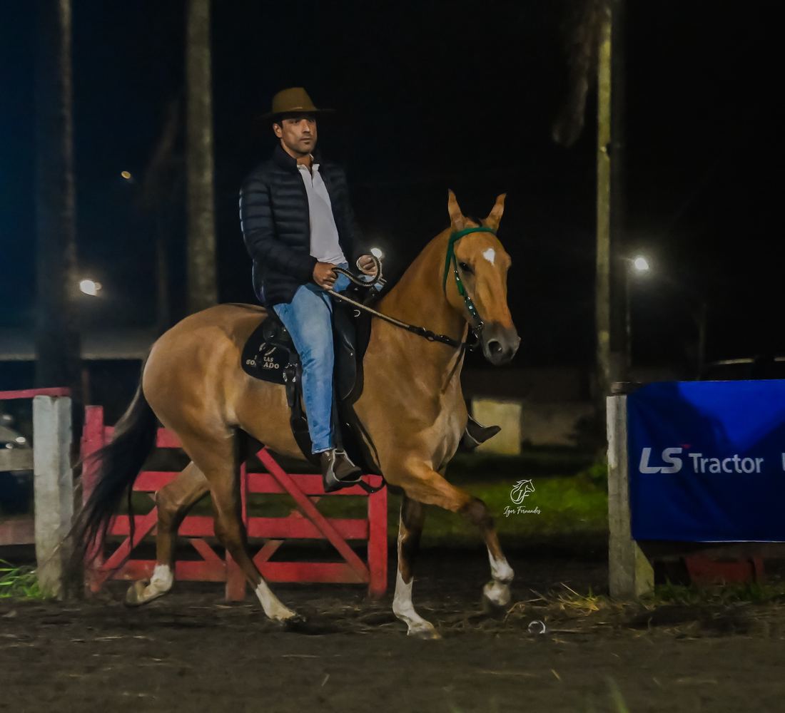 Reinaldo Góes Santos montado na pista