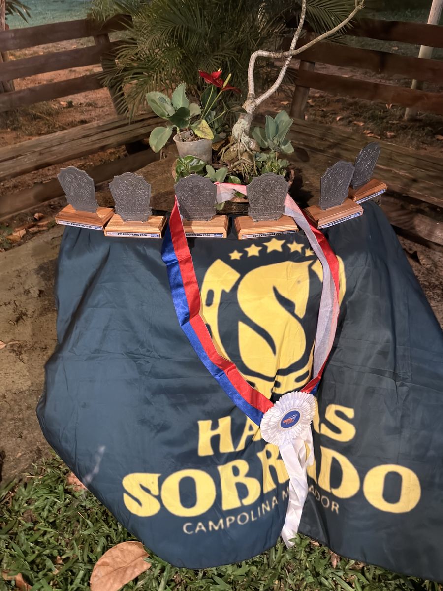 Troféus da 47ª ExpoFeira 2026 sobre a bandeira do Haras Sobrado